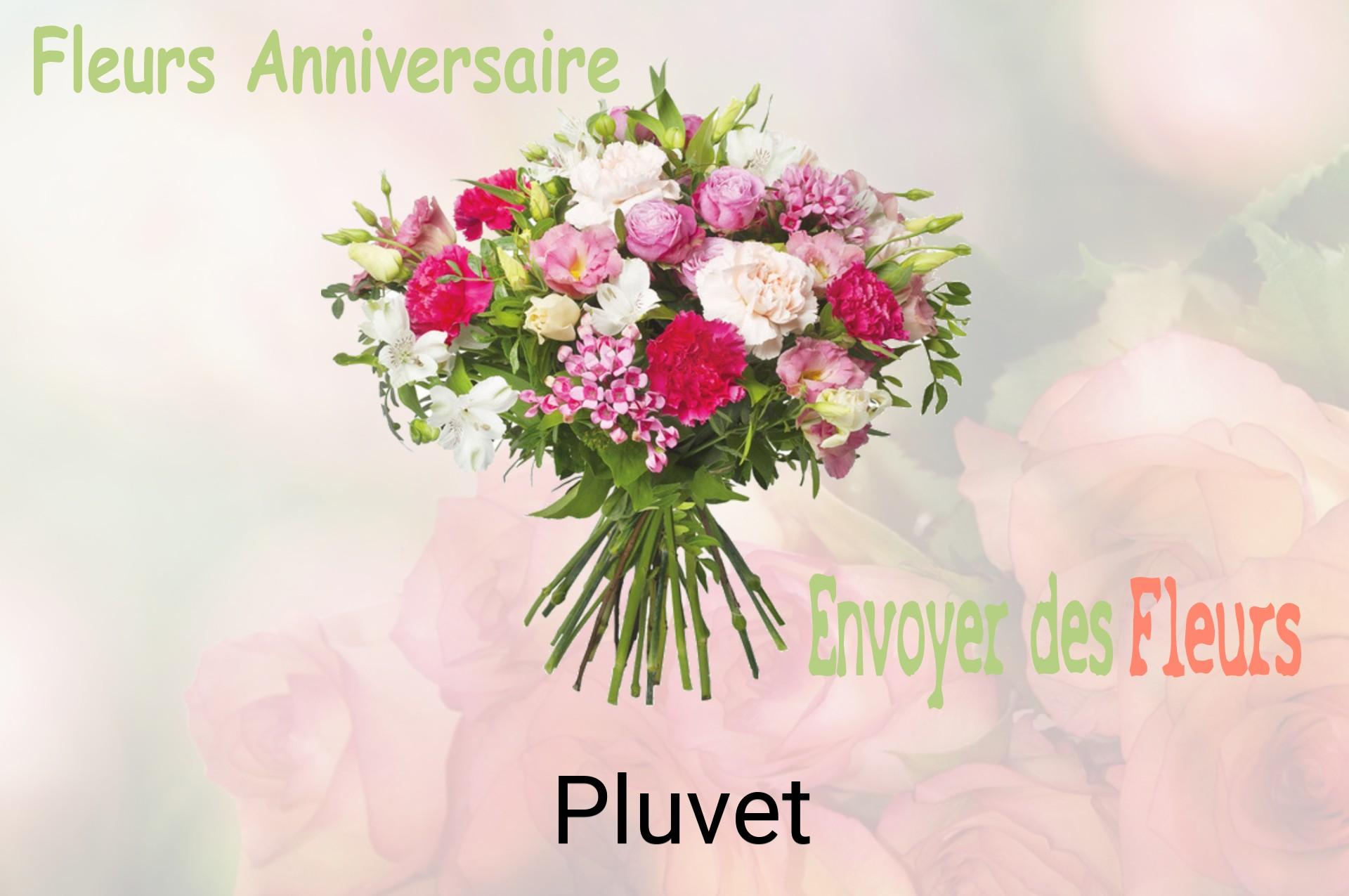 Bouquet de fleurs d’anniversaire livré à Pluvet