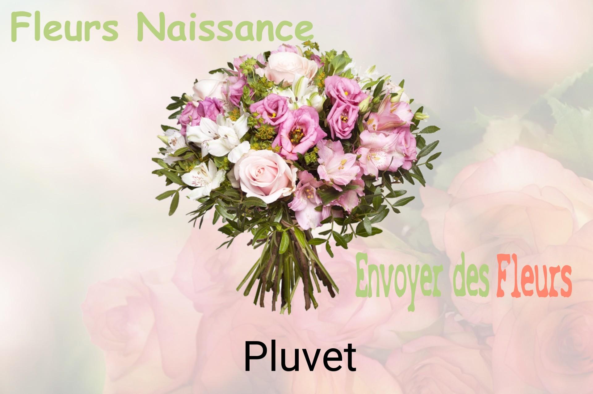 Bouquet de fleurs de naissance livré à Pluvet
