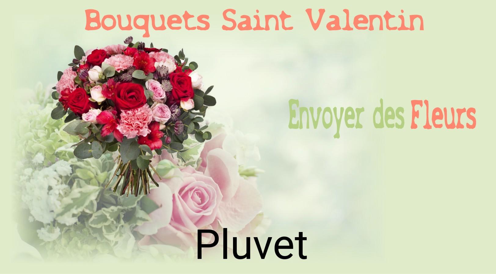 Roses de Saint-Valentin livrées à Pluvet