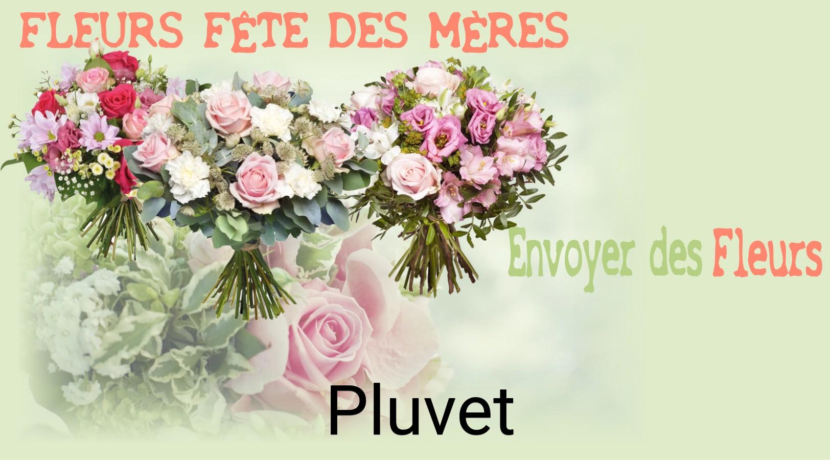 Bouquet de Fête des Mères livré à Pluvet